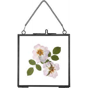 FCHHK-Cadres pour fleurs pressées, cadres flottants en verre pour afficher des spécimens de plantes séchées, photos, cadre photo en laiton avec chaîne suspendue, double vitrage clair, carré - Neuf