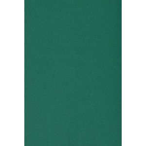 10x Carton Vert Fonc&eacute; 250g Papier D&eacute;coratif Sra3 320x450mm Burano English Green Id&eacute;al Pour Cartes De Voeux Scrapbooking Bricolage Invitations Art Et Artisanat Anniversaire Diy Loisirs Cr&eacute;atifs - Neuf