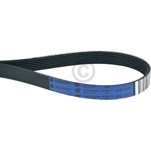SUBZONAL-Courroie 1971h7, 140056254018 pour Seche-linge - Neuf