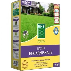 Gazon Regarnissage Terrain Sec - Bhs - 3kg | 150 M&sup2; | R&eacute;sistant Et Durable, Avec Excellente P&eacute;rennit&eacute; Et Tol&eacute;rance Aux Pi&eacute;tinements. - Neuf