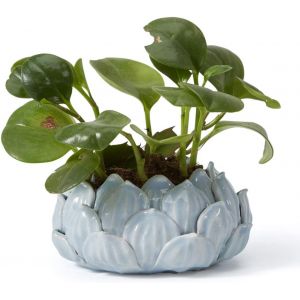 NouvelHorizonstore-Planteur Cactus Succulent Pot de Plantes Fleur Arts Statue Moderne Cadeau D&eacute;cor Maison Figurine Sculpture C&eacute;ramique 15cm - Neuf