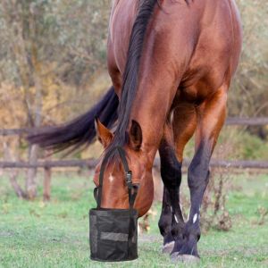 Aliments Pour Chevaux Le Sac, Maille Grain De Sac D'alimentation, Sangle Réglable Avec Durable S'enclenche Et Sangles Élastiques, À L'aise Cou Pad Et Plaquettes De Nez W: D 13 X H 14 Pouces - Neuf