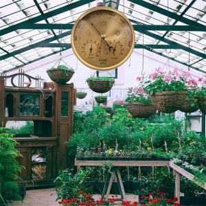 Barom&egrave;tre Thermom&egrave;tre Hygrom&egrave;tre &Agrave; Cadran 3 En 1 Pour , D&eacute;coration Murale, Chambre De P&ecirc;che (Or) - Neuf