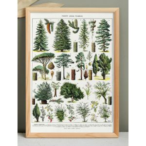 Affiche sur les arbres "&eacute;pic&eacute;a", d'apr&egrave;s une lithographie de 1928 - Neuf