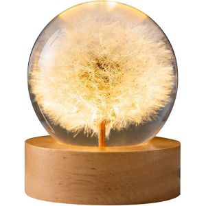 Veilleuse Boule De Cristal De Fleur, Lampe Boule De Verre De 6 Cm Avec Bois Avec Base De Lumière Led, Lampe De Nuit De Spécimen De Fleur De Chargement Usb Avec Support (Pissenlit) - Neuf