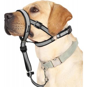 Jgd-Collier De T&ecirc;te R&eacute;fl&eacute;chissant, Collier Anti-Traction Pour Grands Chiens, Laisse Museli&egrave;re Anti-Traction Pour Chiens De Grande Taille, Licol Souple R&eacute;glable, Laisse De Nez Pour Un Contr&ocirc;le Facile - Neuf