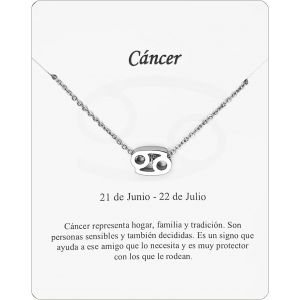 Kal-Collier Signe Du Zodiaque En Acier Inoxydable Belle Carte Signification Signe Du Zodiaque Pendentif Horoscope Pour Femme Ou Homme Cadeau Anniversaire - Neuf