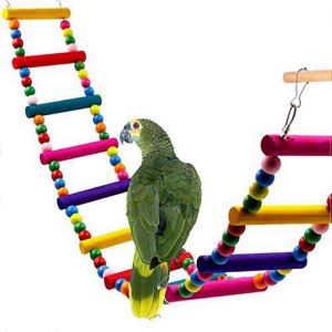 Échelle D'oiseau Bride,Bûche Et Colorant Alimentaire,Convient Pour S Et Moyenne Taille,1 Pièce - Neuf