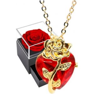 Rose Éternelle Avec Collier ,Coffret Cadeau Romantique,Idée Cadeau Femme ,Annversaire,Mariage,Rose Stabilisée Rouge,Naturelle Bijou,Fête Des Mères,Penditif Coeur Argent 925 Cristal,Collier En Argent - Neuf