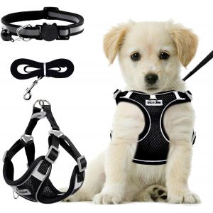 Harnais Chien Avec Laisse Chien, Harnais Anti Traction Pour Chiens De Petite Et Moyenne Taille - Respirant - Lumineux -Taille R&eacute;glable - Harnais De S&eacute;curit&eacute; Pour Chien - Taille M - Neuf