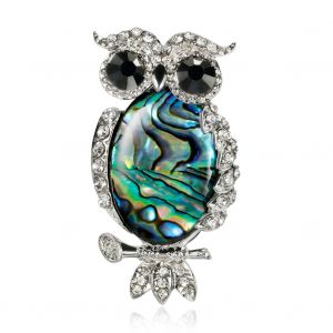 Broche En Alliage Avec Strass, Style Occidental, Accessoire Pour Vetements - Neuf