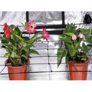 Lot De 2 Filets De Treillis &Eacute;lastiques Pour Tente De Culture, 90 X 120 Cm - Neuf