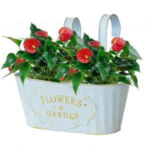 Jardinieres Pour Balustrades, Jardinieres D'exterieur, En Fer, Bleues - Neuf