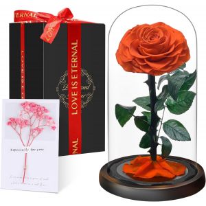 No&euml;l Cadeaux pour Femmes - Rose &Eacute;ternelle sous Cloche, Naturelle Fleur Eternelle Cadeau, Id&eacute;e Boite Rose Eternel, Cadeau pour la Saint-Valentin, Anniversaire, Femme,Copine,Amie,Maman,Grand Mere - Neuf
