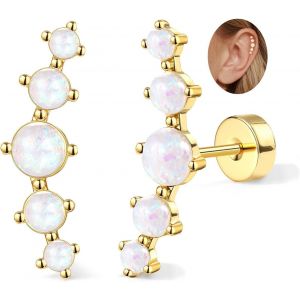 Kal-2pcs Piercing Oreille Boucles D'oreilles Femme Acier Inoxydable Piercing Helix Filetage Interne Piercing Tragus Cartilage 16g Hypoallerg&eacute;nique Piercing Conch Tragus Helix Piercing Or Argent - Neuf