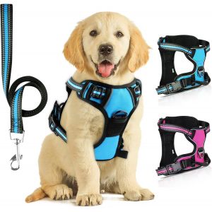Harnais Chien, Harnais Anti Traction Pour Chien, Harnais Chien Anti Traction R&eacute;fl&eacute;chissant, Avec Laisse Pour Chien, Pour Entra&icirc;nement En Plein Air - Neuf