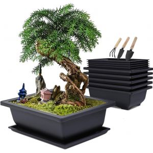 Lot De 6 Pot Pour Bonsai Avec Soucoupe,23x17x8cm Pots De Fleurs En Plastique Avec Outillage De Jardin,Pot Bonsai Rectangulaire Avec Trou D'&eacute;chappement Pour Jardins Balcon Ext&eacute;rieur Int&eacute;rieur - Neuf
