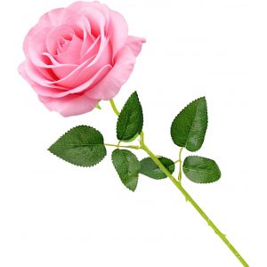 Rose &Eacute;ternelle, Fleur Artificielle en Soie &Eacute;l&eacute;gante - Cadeau Romantique pour Saint Valentin, F&ecirc;te des M&egrave;res, No&euml;l, Anniversaire - D&eacute;corative pour Salon, Mariage, C&eacute;r&eacute;monie (Rose) - Neuf