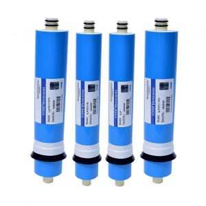 RO Eau Système D¿osmose Inverse Membrane Universel Compatible Remplacement Filtre À Eau Purificateur D¿eau Potable 100G - Neuf