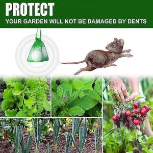 R&eacute;pulsif pour souris huile de menthe poivr&eacute;e pour repousser les souris et les rats Rongeurs lutte antiparasitaire pour le jardin domestique Nouveau - Neuf