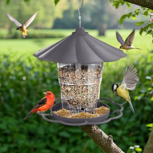 Alimentateur Pour Oiseaux Suspendu - R&eacute;tractable 820ml R&eacute;sistant Aux Intemp&eacute;ries Pour Les Oiseaux Sauvages - Gris - Neuf