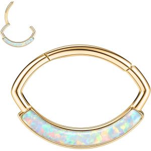 Kal-Boucles D'oreilles 16 G En Acier Inoxydable Pour Septum, Daith, Rook, Tragus, H&eacute;lix, Cartilage, Lobe Septum, Bijoux Serpent, Pyramide, Fl&egrave;che, &Eacute;toile, Anneau Segment&eacute; &Agrave; Charni&egrave;re - Neuf