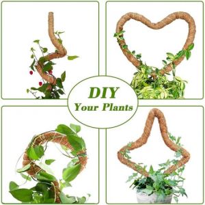 1er poteau en mousse Monstera pour plantes d'int&eacute;rieur, support de plante pliable - Neuf