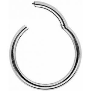 Nbgcm-Piercing En Titane G23 Argenté À Charnière En Titane Pour Septum, Nez, Oreille, Lèvre, Sourcil, Tragus, Piercing À Clic, Titane Grade 23, Argent - Neuf