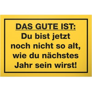 Checarzhn--No1-Noch Nicht So Alt Wie Nächsten Jahr - Schild 30 X 20 Cm - Décoration D'anniversaire - Idée Cadeau - Homme Et Femme - Cadeau D'anniversaire - Neuf