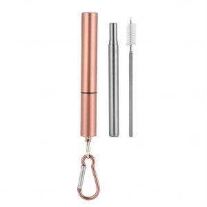 HJLIAN Kit de pailles retractables portables en acier inoxydable (etui en aluminium or rose, paille, brosse et mousqueton) - Neuf