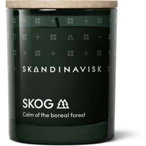 Skog 'Forest' Bougie parfumée Édition spéciale Notes de parfum : aiguilles de pin et pommes de sapin, sève de bouleau et muguet, formule végétalienne, 65 g - Neuf