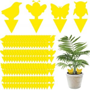 ChenQuanSarl-80 Pcs Pi&egrave;ges &Agrave; Insectes, Anti Moucherons Interieur, Attrape Mouche De Plantes, Double Face Autocollants Colle Insect Catcher, Pour Jardin Fleur Fruits - Neuf