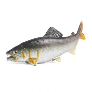 Modèles De Poissons Simulés Modèles De Poissons-Bars Réalistes Pour La Décoration Intérieure Et À Des Fins Éducatives-22 - Neuf