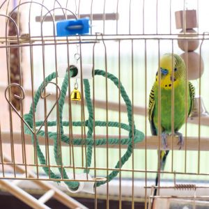 Hjlian Support Suspendu Pour Perroquet En Corde De Coton, Jouet A Mordre Avec Clochette, Accessoire Pour Cage A Oiseaux - Neuf