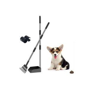 Ensemble De Ramassage Des D&eacute;jections Canines En Acier Inoxydable Avec R&acirc;teau &Agrave; Long Manche Et Bac Pour Faciliter L'&eacute;limination Des D&eacute;chets. - Neuf