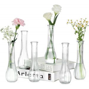 Bnhgc-Petit Vase En Verre Pour Fleur: 6 Pièces 21,7cm Grand Soliflore Vase Decoratif Pour Centre De Table Mariage - Transparent Vase Fleur Pour Fête Interieur Maison Deco - Neuf