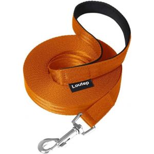 Jgd-Laisse De Dressage Pour Chiens De 3 M, 5 M, 10 M, 15 M, 20 M, 25 M, 30 M, Corde En Nylon Robuste, Promenade D'animaux Domestiques, Jeu En Plein Air - Neuf
