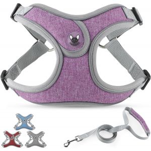 Eryi-Ensemble Harnais Et Laisse Pour Chien - Harnais Réfléchissant Pour Chiens De Taille Moyenne Avec Laisse De 1,4 M - Violet, L - Neuf