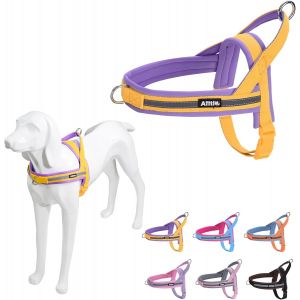 Eryi-Harnais Pour Chien Rembourré Doux, Harnais Pour Animal Domestique, Harnais De Poitrine Réglable, Facile Pour L'entraînement, La Marche, La Course Pour Petits Chiens, Jaune-Violet, Xs - Neuf