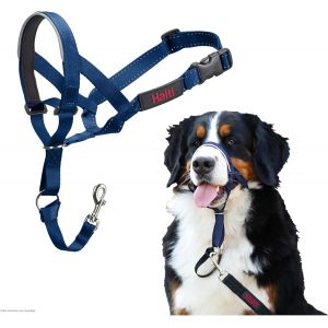 Jgd-Licol Halti - Pour Que Votre Chien Arr&ecirc;te De Tirer Sur Sa Laisse, Facile &Agrave; Enfiler, Partie Enti&egrave;rement Matelass&eacute;e Sur Le Museau, Colliers Anti-Traction Pour Grands Chiens (Taille 4, Bleu Cobalt) - Neuf