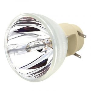 Ampoule de projecteur compatible W1070 W1070+ W1080 W1080st HT1085st HT1075 W1300 240/0,8 E20.9n pour hy - Neuf