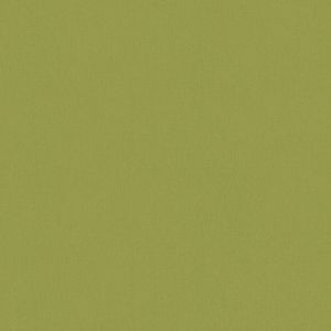 Papier Peint Vert Kaki Uni Intiss&eacute; | Tapisserie Effet Textile Pour Chambre D'Ado | Papiers Peints Vert Lavable Id&eacute;al Pour Salon - 10,05 X 0,53 M - Neuf