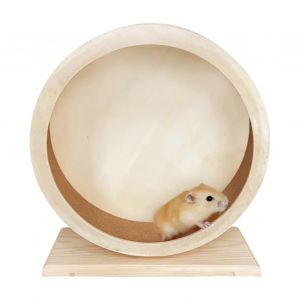Roue Pour Hamster, Accessoires Pour Cages A Chinchillas, Equipement D'exercice Silencieux Avec Fixation - Neuf
