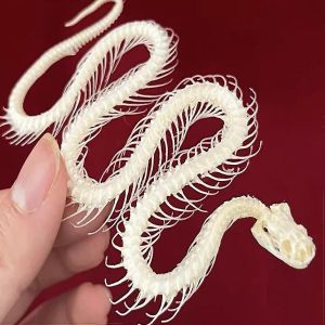 Naturel R&eacute;el 40cm Serpent Maquette Pour La Taxidermie, Cr&acirc;ne D'animal Sp&eacute;cimen Pour L'enseignement De La M&eacute;decine Et De La Recherche - Neuf