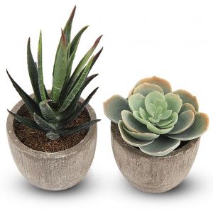 HJLIAN Lot de 2 mini plantes succulentes artificielles en pot, decoration de mini bonsai - Neuf