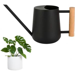 Arrosoir en Acier Inoxydable,900 ML Arrosoir Jardin Metal Petit Arrosoir à Long Bec Arrosoir Plante d'Intérieur Arrosoir Bec Fin Long Arrosoir Metal Petit Arrosoir Plante Arrosoir en Métal - Neuf