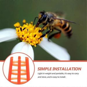 Chapeau De Reine D'abeille Rayon D'abeille Push-In Protecteur De Cellules De Reine Cage D'&eacute;levage De Reine D'abeille Pour &Ecirc;tre - Neuf