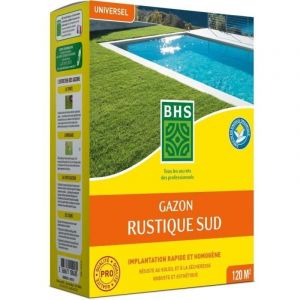 Serrurerie-boutique - Gazon - Bhs - Gazon Rustique Sud - 1kg, 40 M&sup2;. R&eacute;sistant Aux Conditions Seches Gr&acirc;ce A La F&eacute;tuque &eacute;lev&eacute;e. Rapide Et Homoge - Neuf