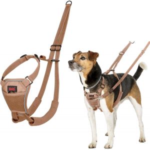 Eryi-Harnais Anti-Traction Halti - Pour Que Votre Chien Arrête De Tirer Sur Sa Laisse, Sangle De Poitrail Et Des Pattes Avant Rembourrée, Harnais Pour Petits Chiens (Taille S, Sable Du Désert) - Neuf