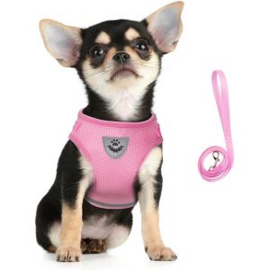 Eryi-Harnais Et Laisse Pour Chiens, Ensemble Harnais Rembourré En Mesh Doux Pour Chiots Et Chats, Veste Respirant Réglable Réfléchissant Intérieur Pour Marcher, Courir, Formation - Neuf